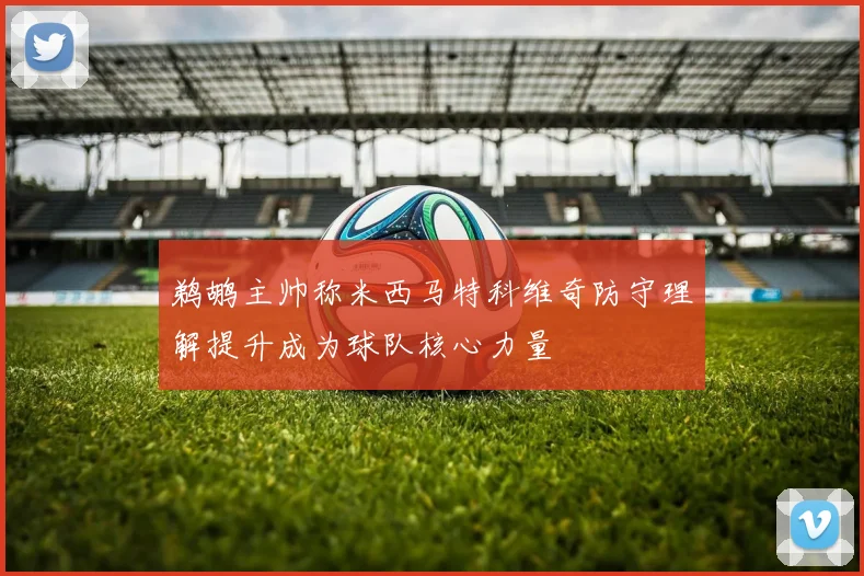 鹈鹕主帅称米西马特科维奇防守理解提升成为球队核心力量