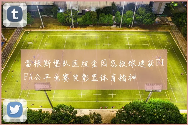 雷根斯堡队医纽金因急救球迷获FIFA公平竞赛奖彰显体育精神